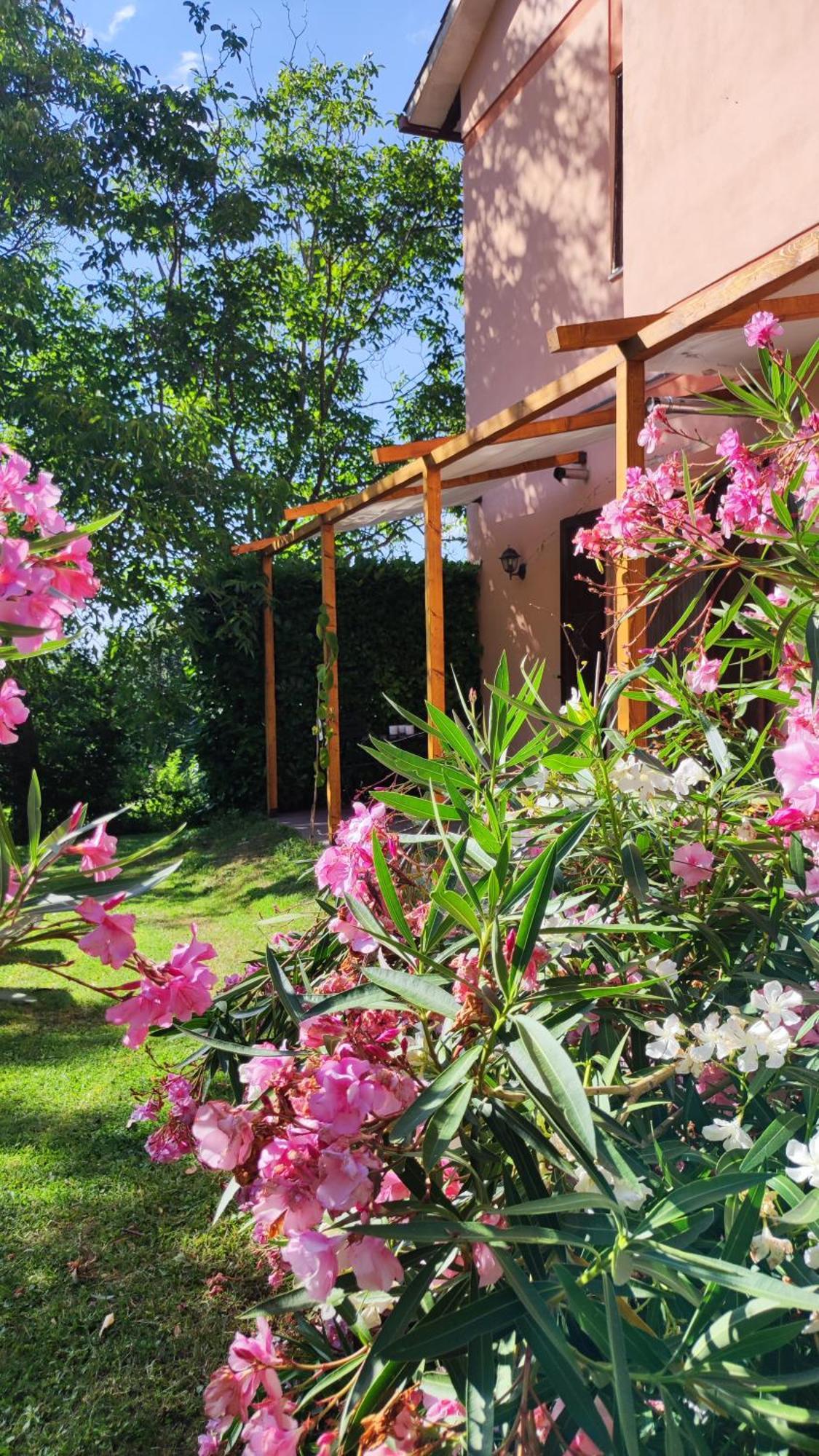 Camping Le Marche Apartments Gualdo di Macerata Exterior foto